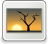 [thumbnail of WhatsApp Image 2026-05-04 at 20.16.05.jpeg]